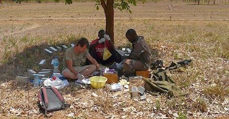 Trapping rats in a Tanzanian field