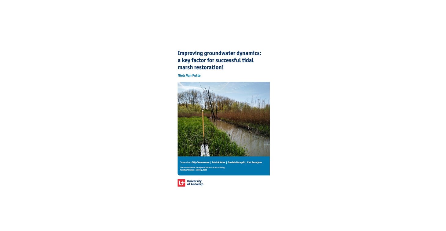 Improving groundwater dynamics: a key factor for successful tidal marsh restoration! - Niels VAN PUTTE