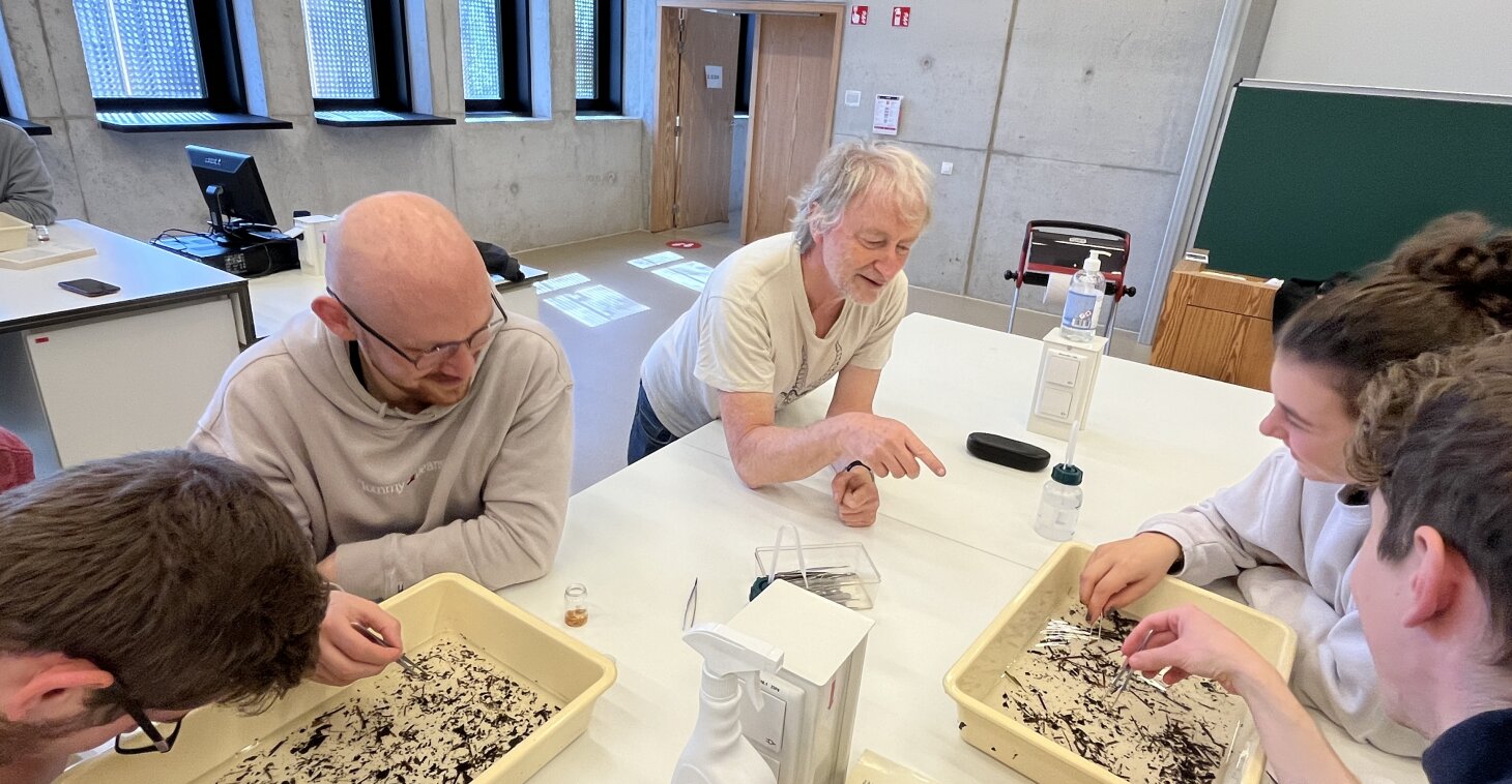 Prof. Lieven Bervoets teaches Biology Master students how to identify freshwater invertebrates.
