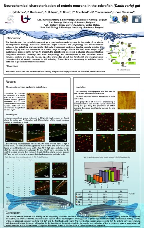 Neurochemical characterisation of enteric neurons in the zebrafish (Danio rerio) gut