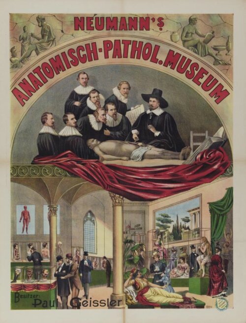 Neumann's Anatomisch-Pathol Museum_1895_Friedlander_CollectionUvA.jpg