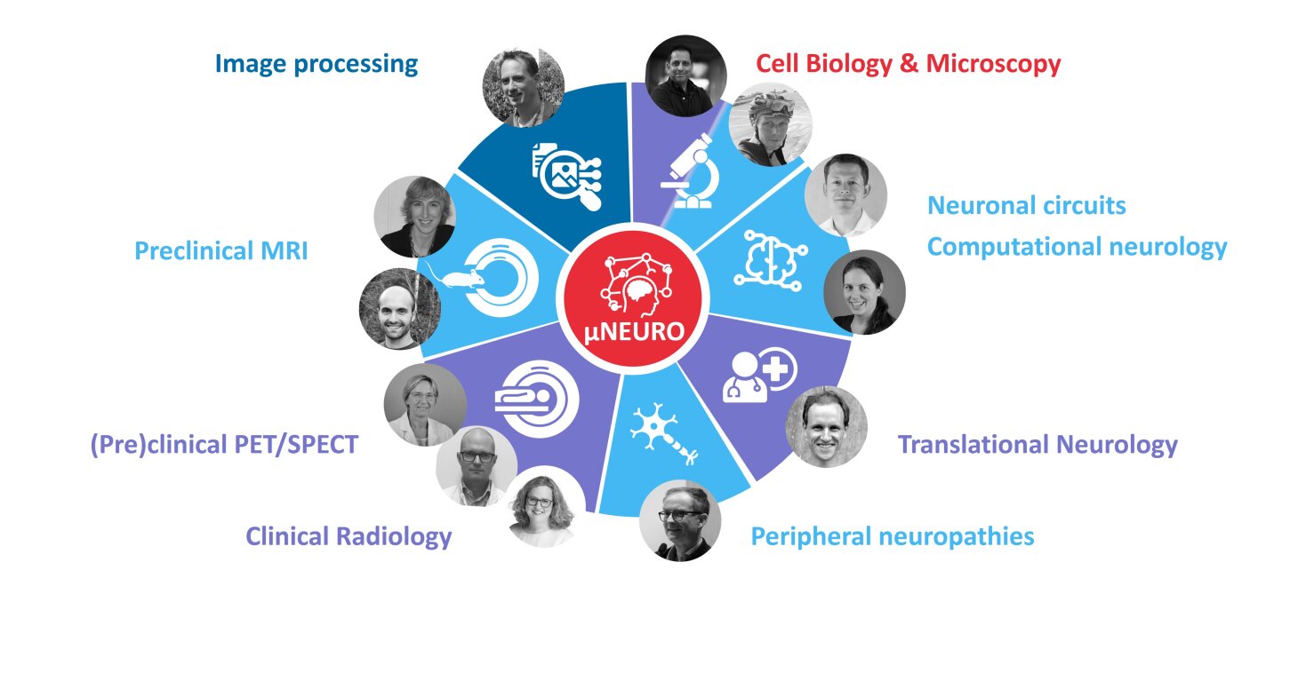 µNEURO members and expertise