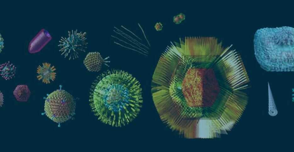 Summerschool on Vaccinology - 29 June - 6 July 2026