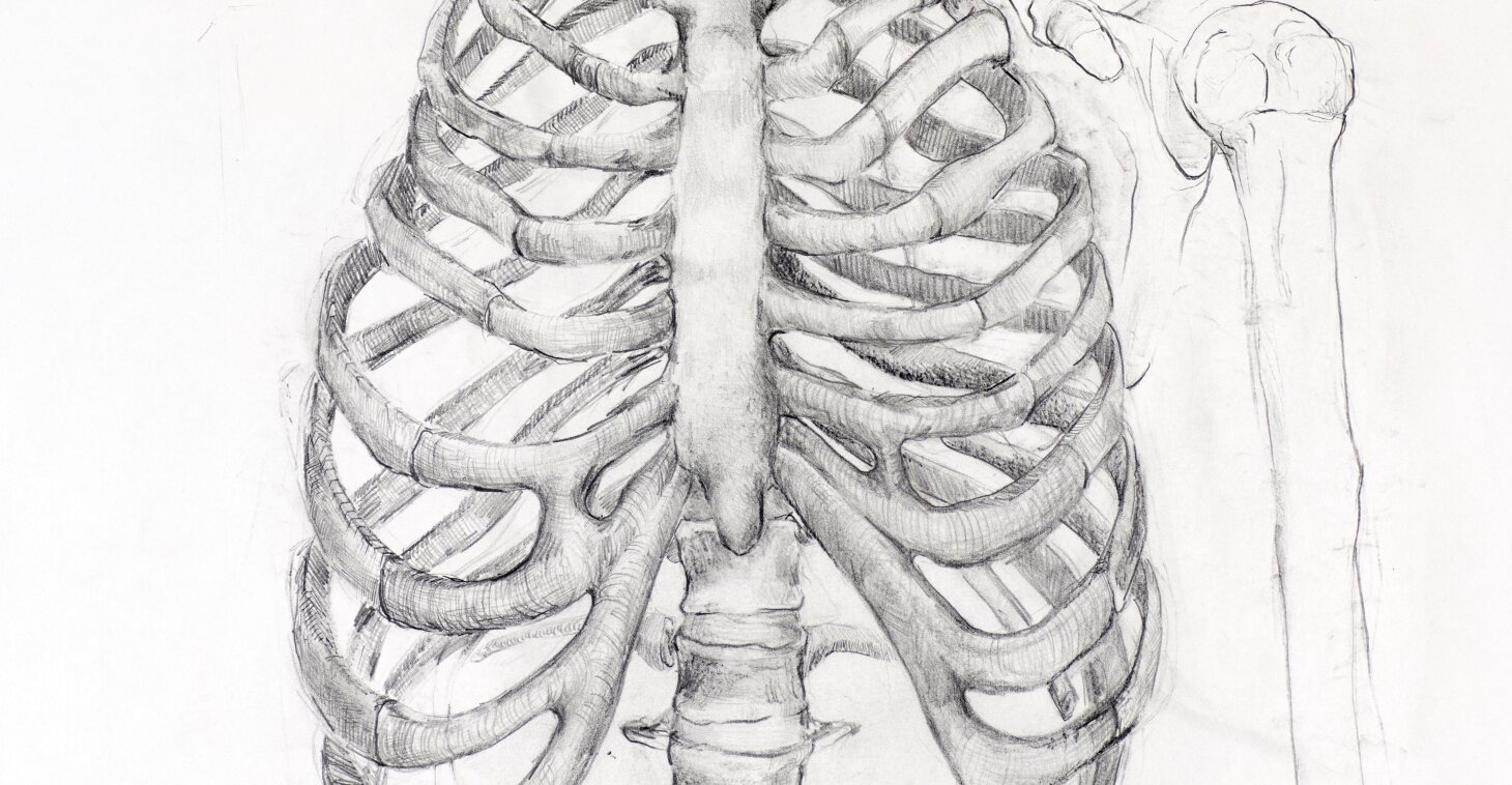 Tess Karakatsanis (detail)
