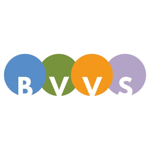 BVVS(1).png