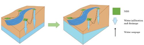 Schematic representation of how NBS along the river can help recharge the groundwater levels in the riparian ecosystem at a temporal and spatial scale