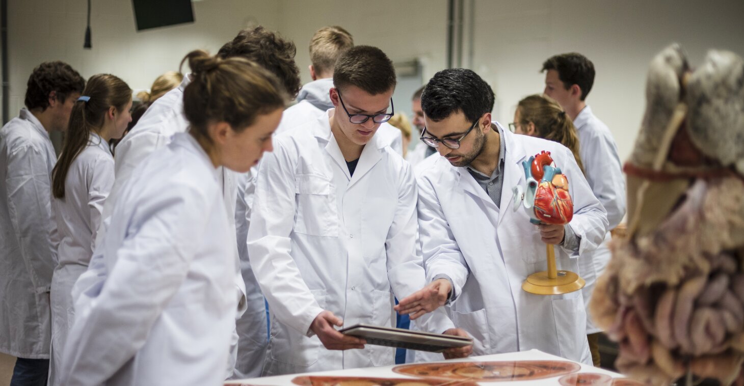 Discover our medicine programme for exchange students here (pdf)