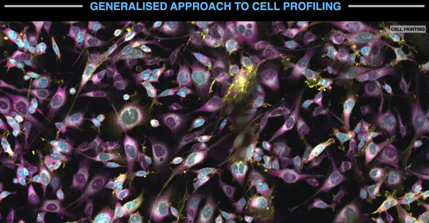 Cell profiling