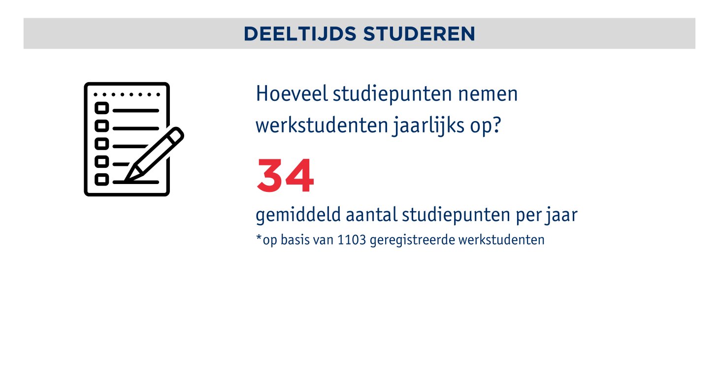 Profiel van de werkstudent