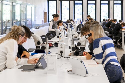 Biologiepracticum