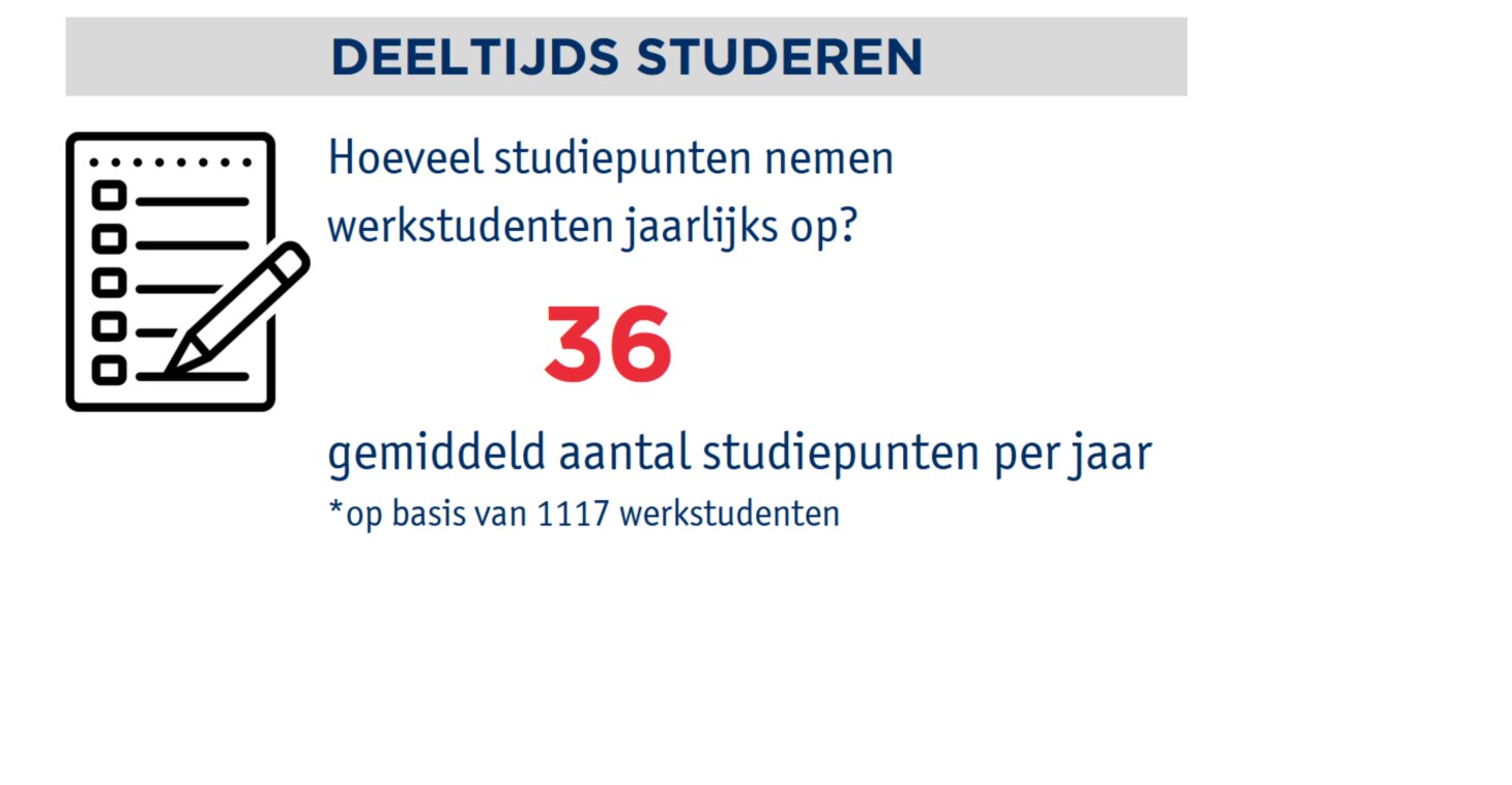 Profiel van de werkstudent 