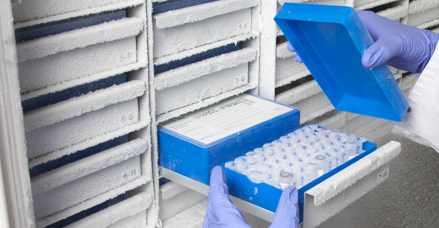 6,500+ brain samples 