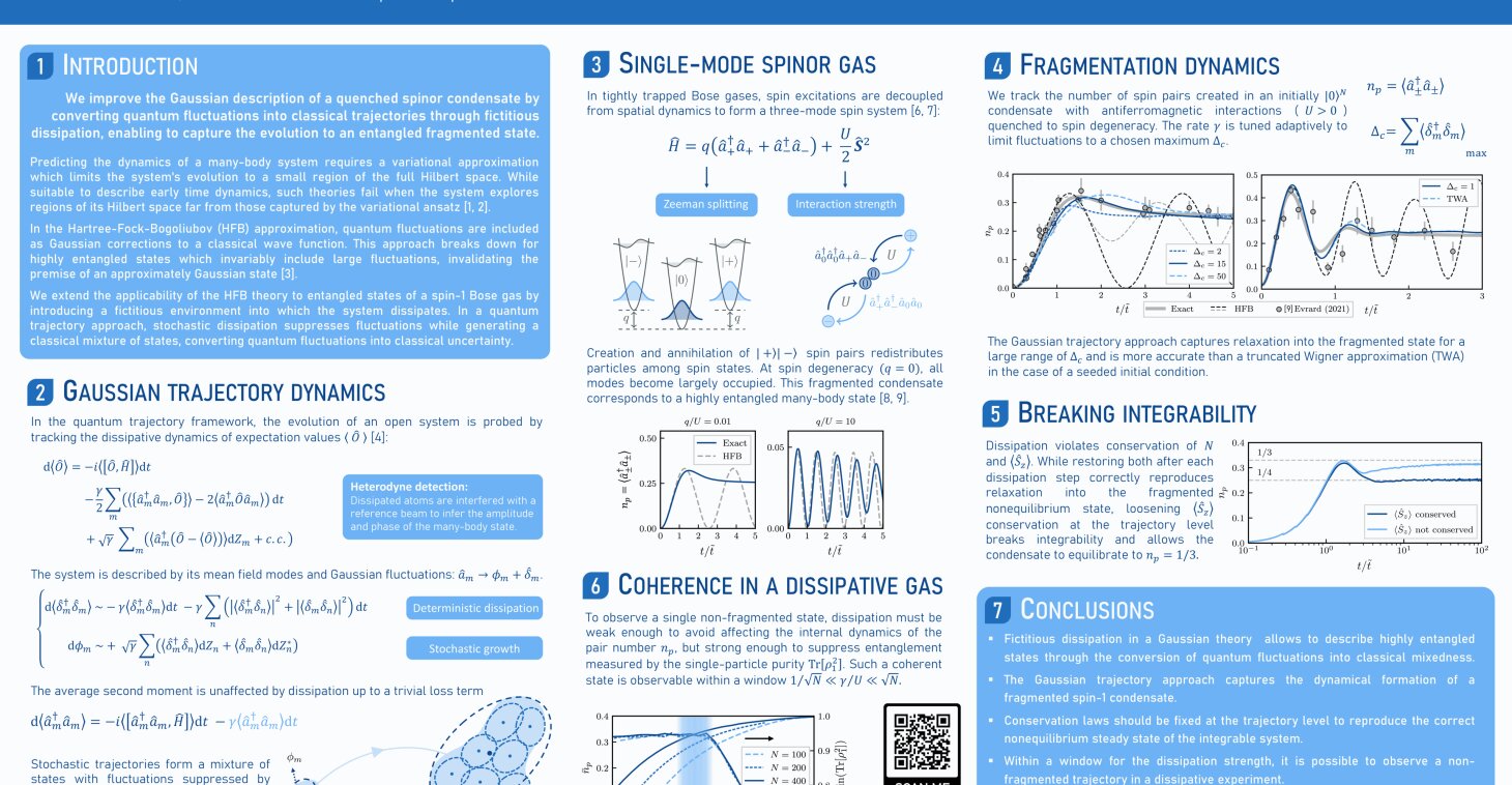 Spinor condensaten