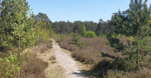 Wandeling Wechelderzande 17 januari 2026 (NIEUW)