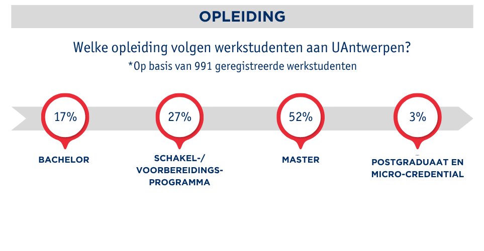 Profiel van de werkstudent