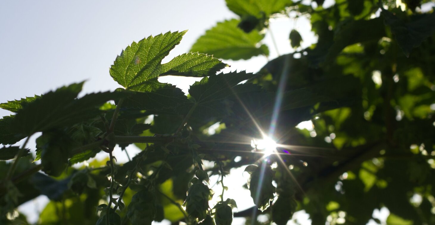 Grensoverschrijdend Gedrag