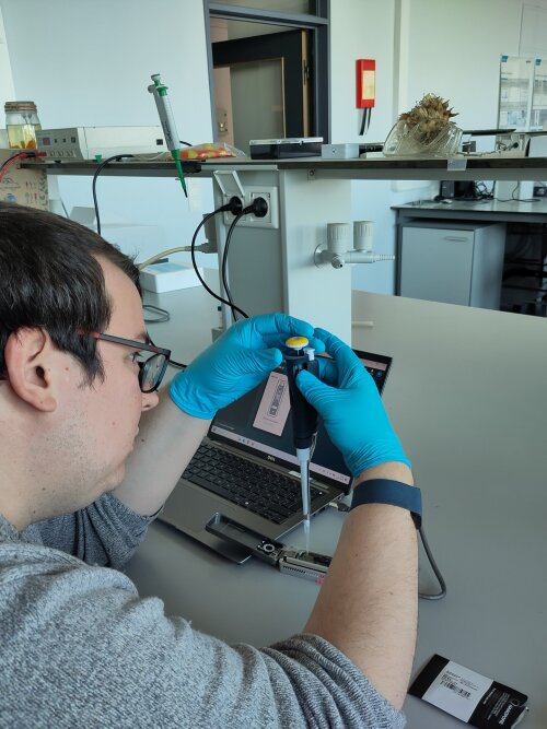 De library mix wordt heel voorzichtig (zonder belletjes!) op 'n sequencing cel ("Flongle") gepipetteerd. Door een membraantje kleiner dan de nagel van je pink wordt in 1 etmaal zo'n half miljard basenparen uit 24 verschillende staaltjes gelezen.