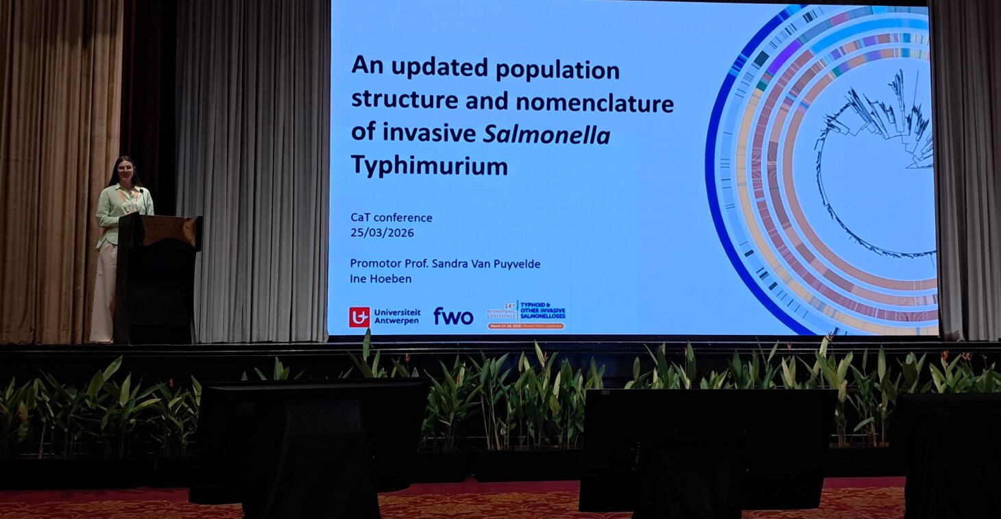 Ine Hoeben presentation