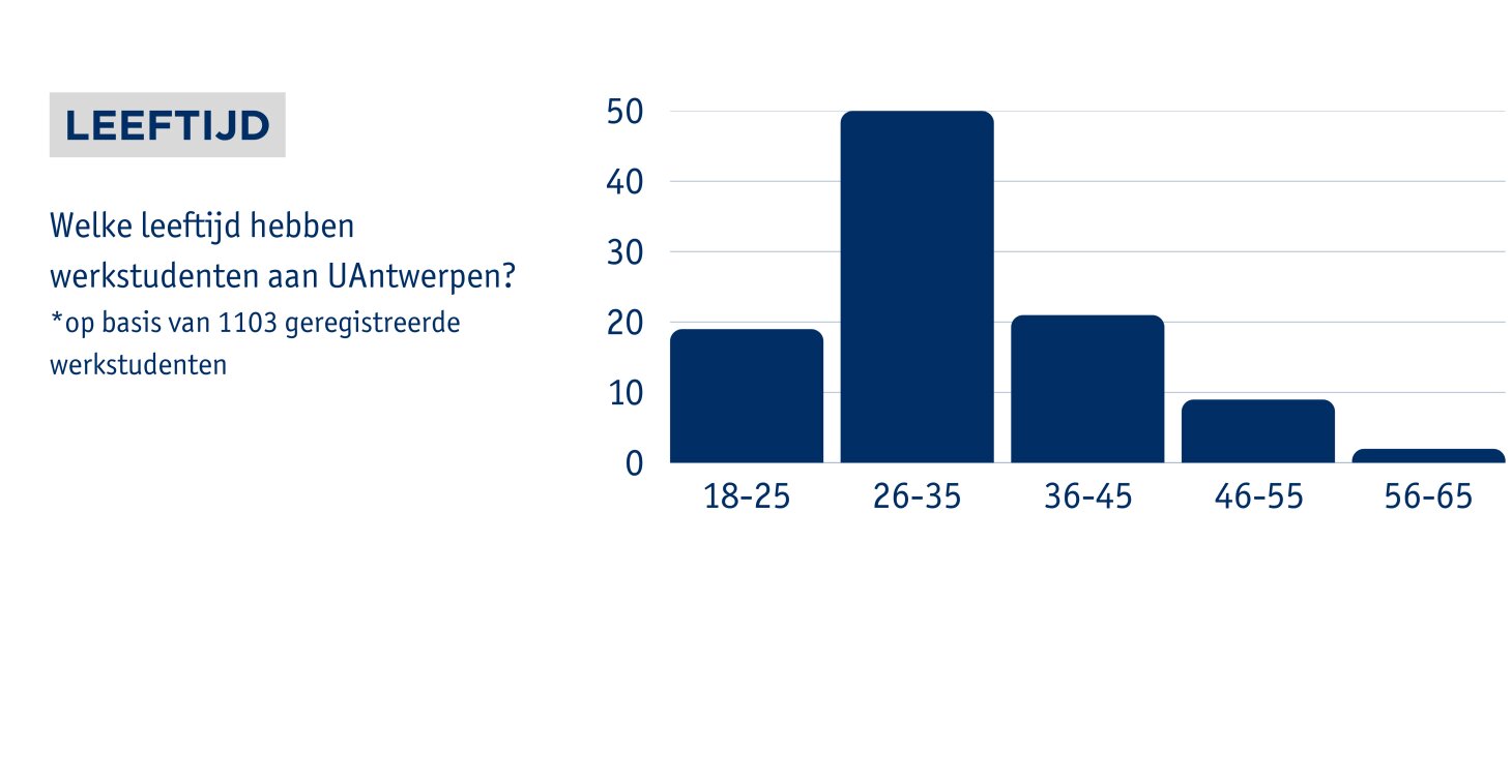 Profiel van de werkstudent