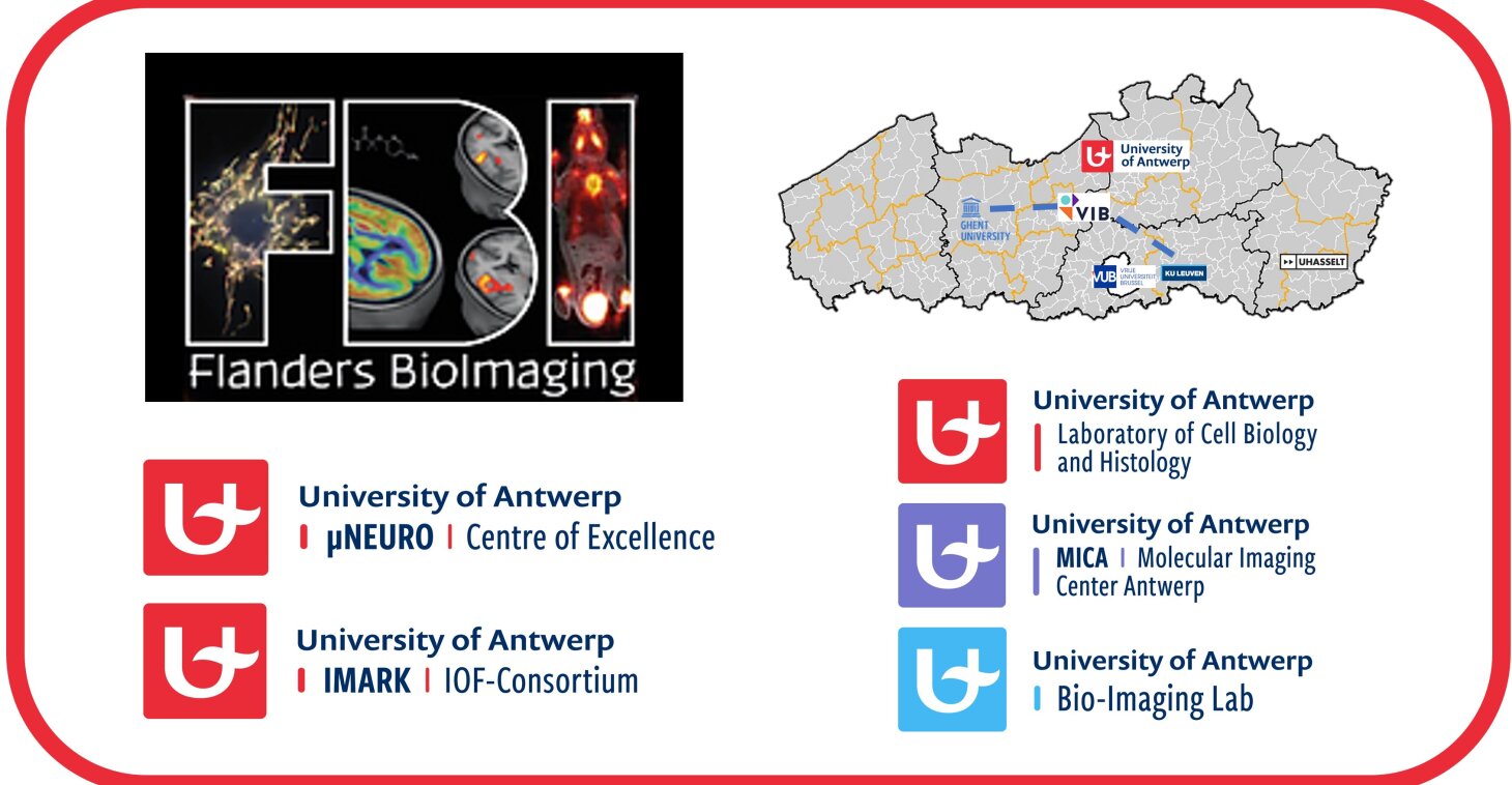 4.3M euro funding for Flanders BioImaging