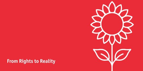 banner zonnebloem.jpg
