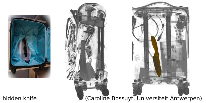 Caroline Bossuyt, Universiteit Antwerpen