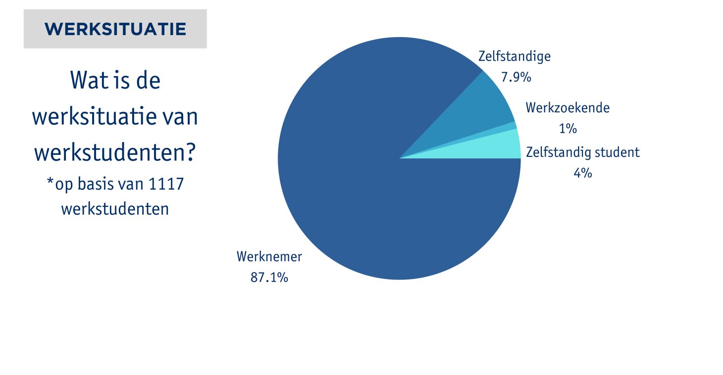Profiel van de werkstudent 