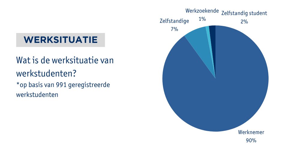 Profiel van de werkstudent
