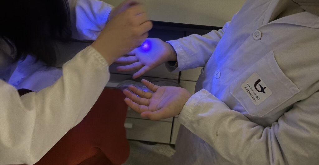 handwastest