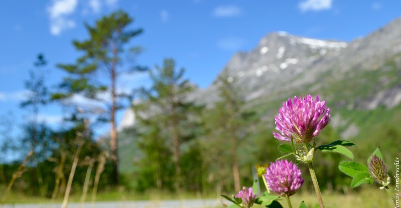 How hikers can help science