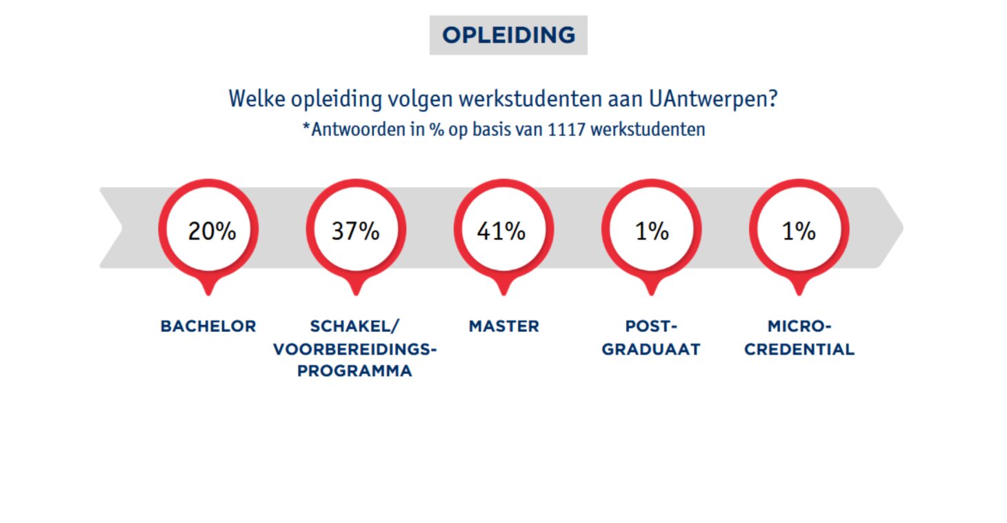 Profiel van de werkstudent 