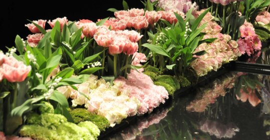 Floraliën Gent 4 mei (Nieuw!)