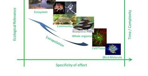 all levels of biological organization
