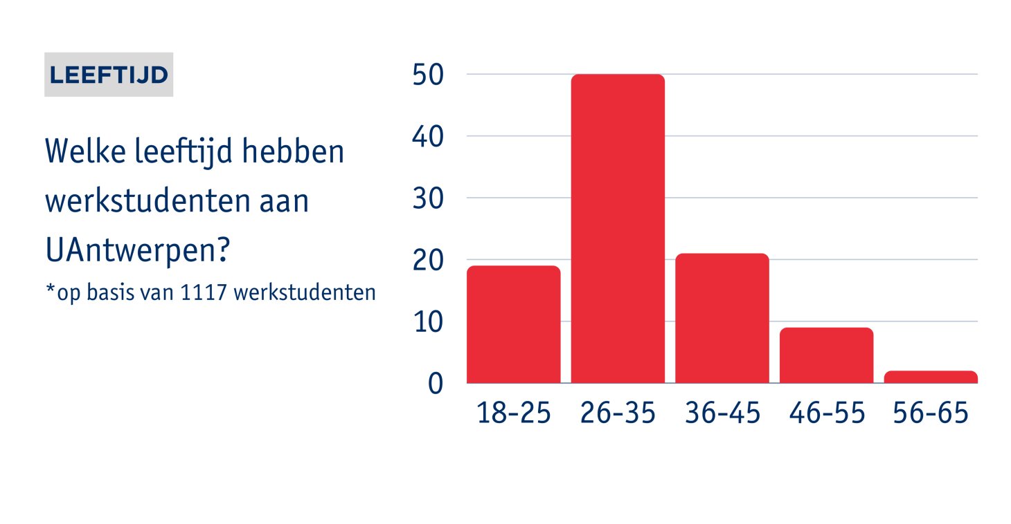 Profiel van de werkstudent 