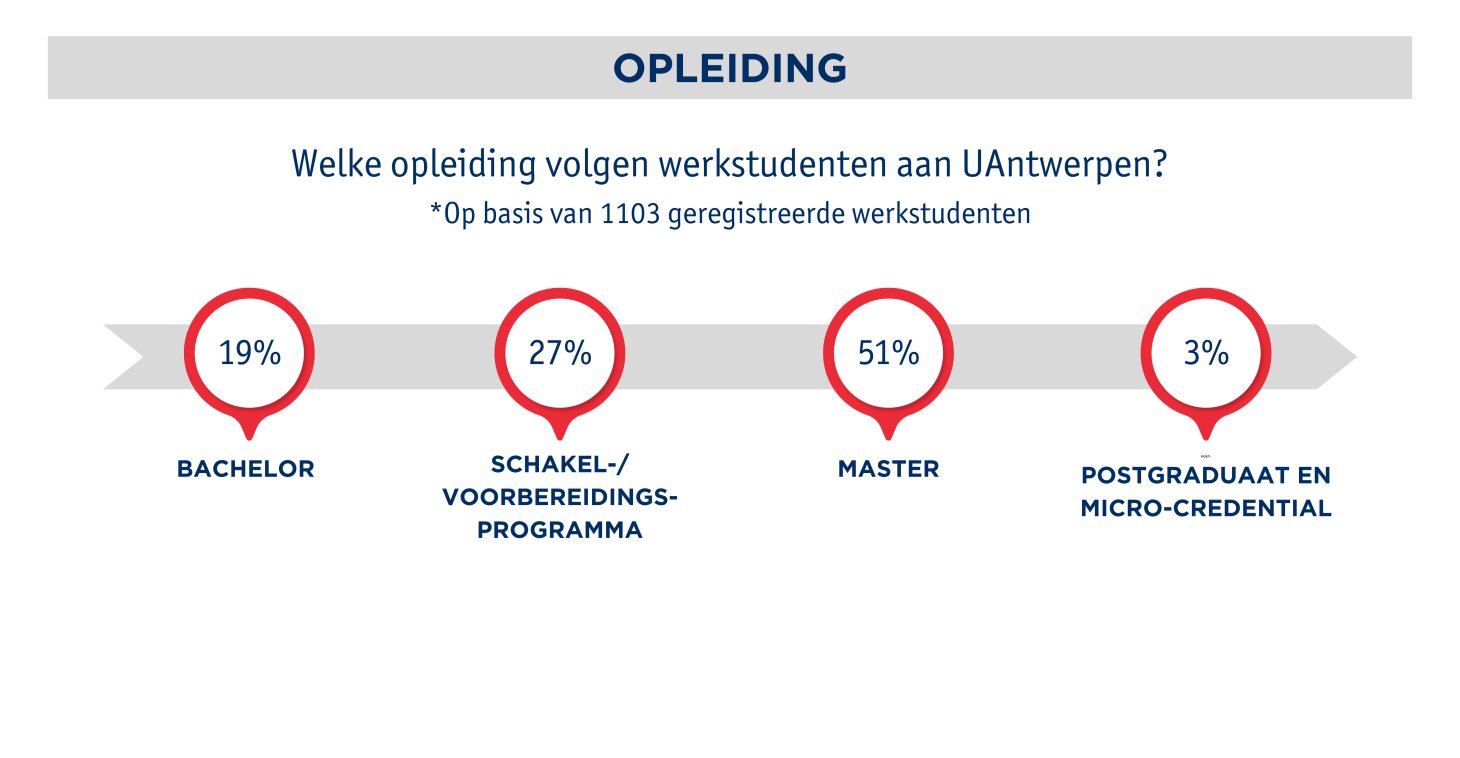 Profiel van de werkstudent