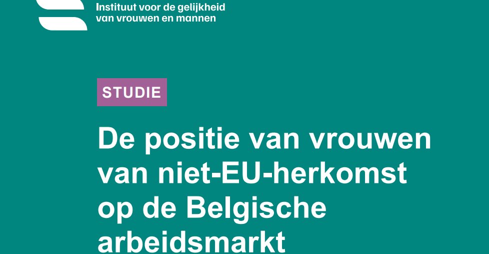 Sunčica Vujić of our departement and co authors Nick Deschacht and Fernanda Teixeira published: De positie van vrouwen van niet-EU-herkomst op de Belgische arbeidsmarkt