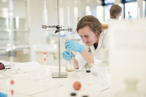 Biologie practicum