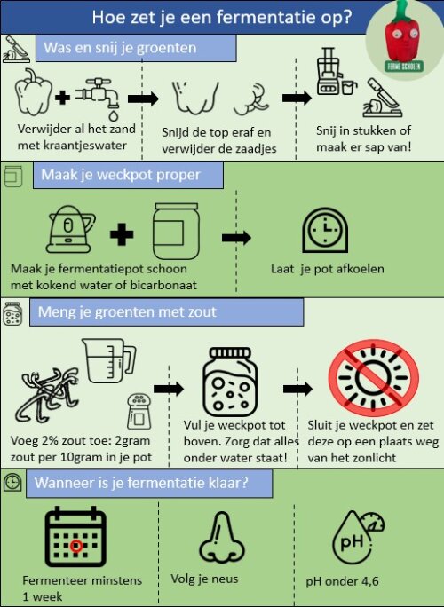 Het algemene groentenfermentatieprotocol