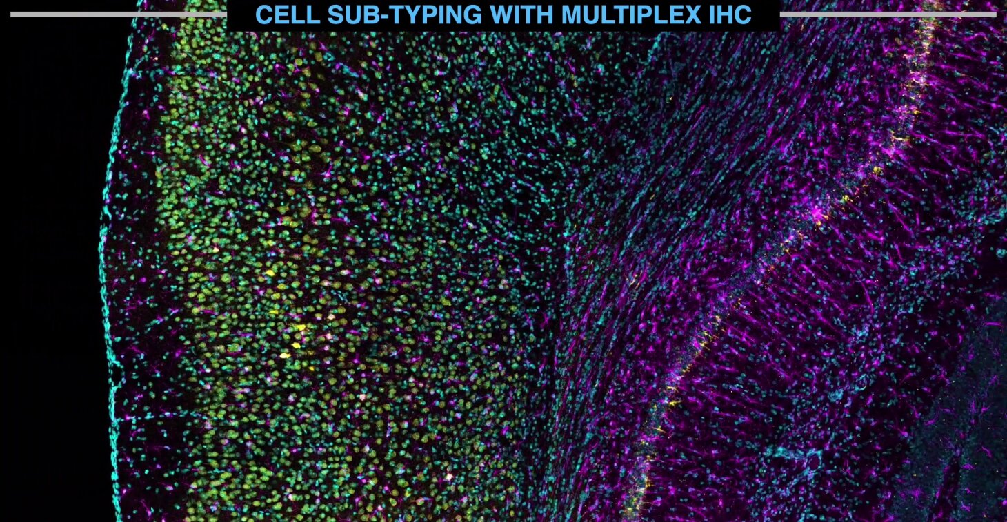 Multiplexing
