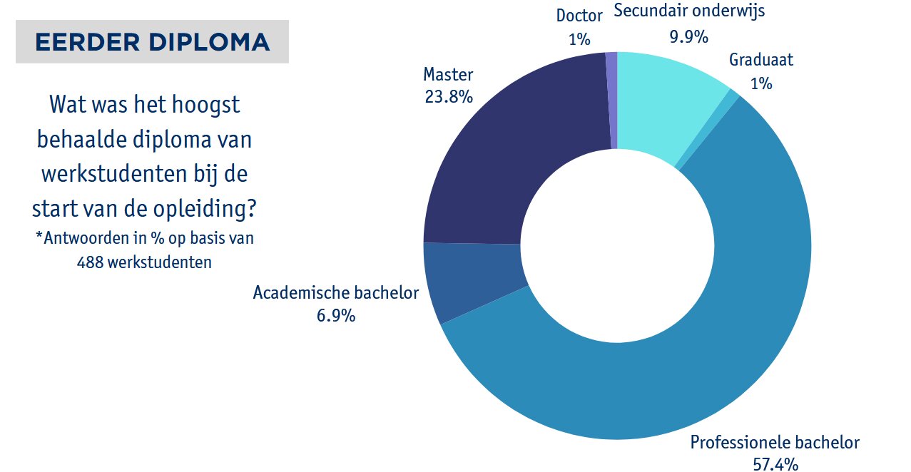 Profiel van de werkstudent 