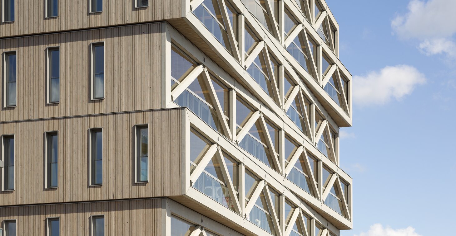 The Splinters of Mass Timber. Circular Multi-Storey Contemporary Timber Architecture in Europe.