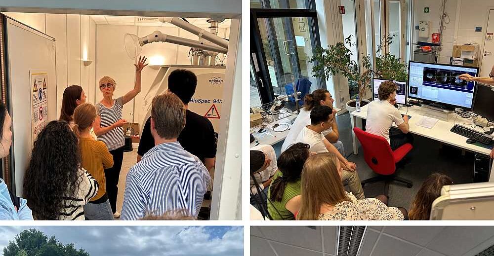 IQ-BRAIN Summer School in Antwerp