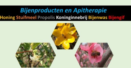 Lezing apitherapie 25 januari (Nieuw)