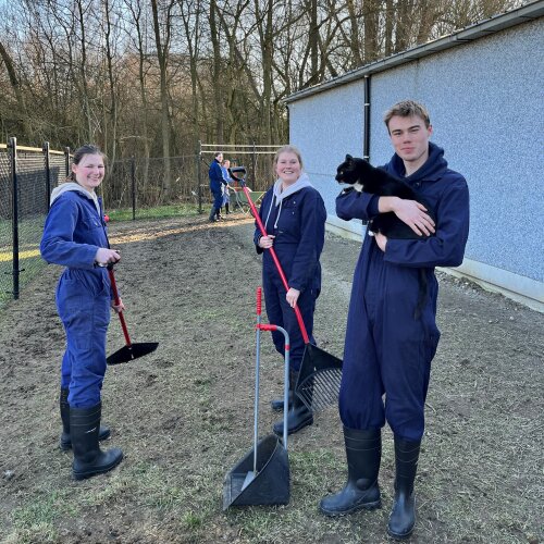 Vrienden van De Ark