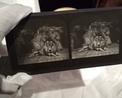 Stereoscopic panorama, collection FoMu Antwerp. (c) Leen Engelen 