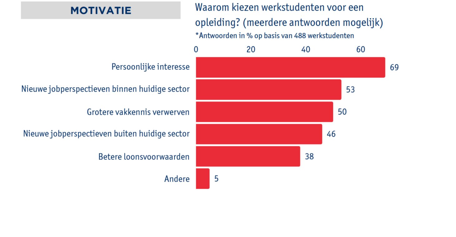 Profiel van de werkstudent