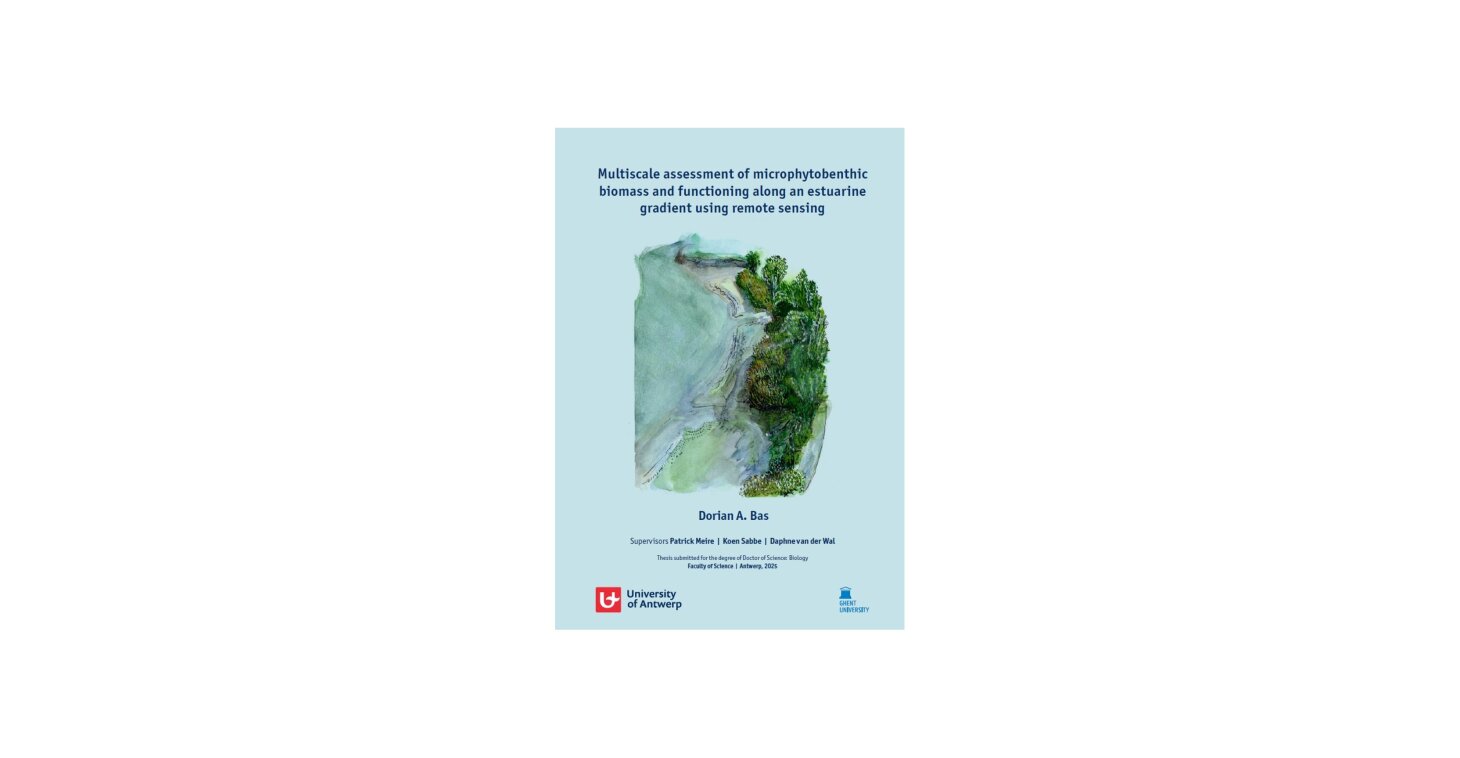 Multiscale assessment of microphytobenthic biomass and functioning along an estuarine gradient using remote sensing - Dorian BAS