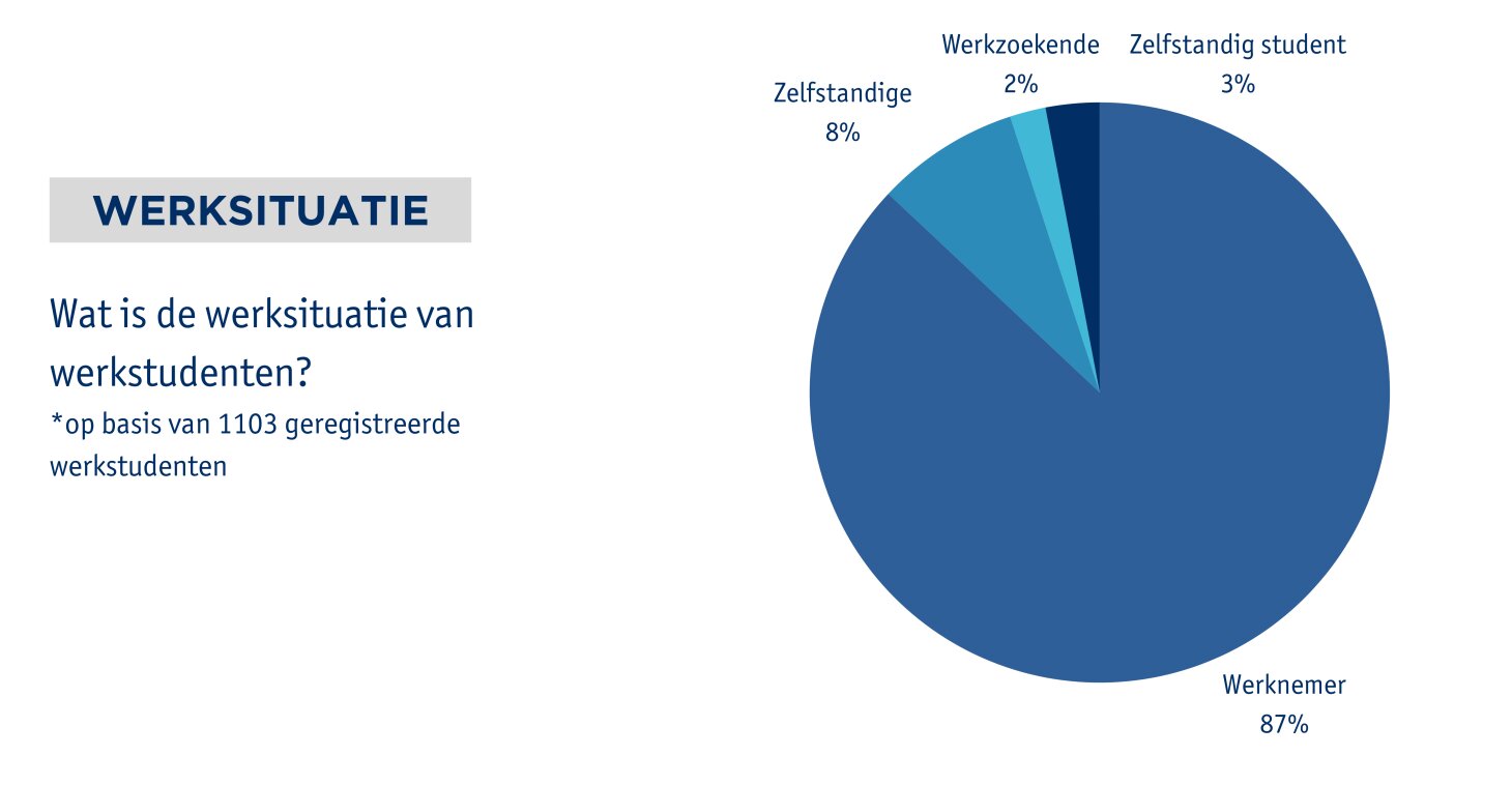 Profiel van de werkstudent