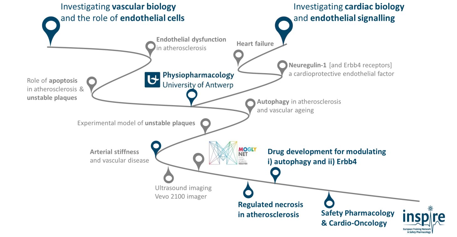 Discover our research