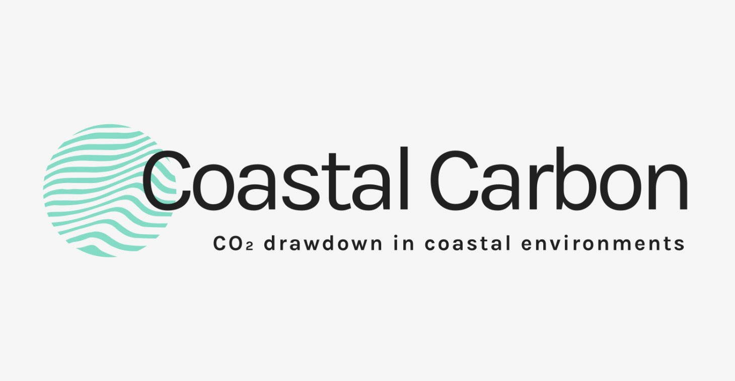 Coastal enhanced silicate weathering: carbon dioxide withdrawal